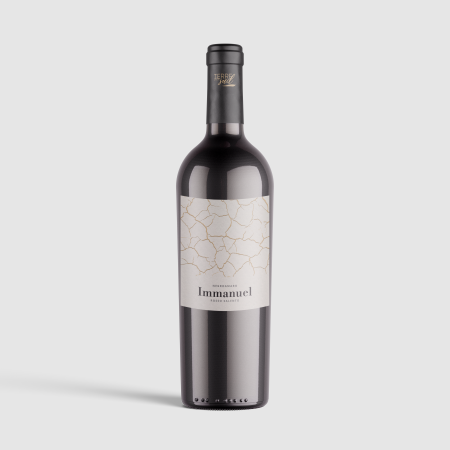 immanuel-terre.-del-sud